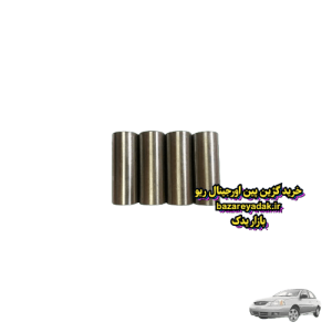 گژین پین اورجینال ریو